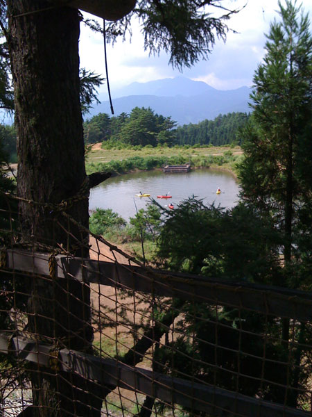 Nice View Good view od the mountains from the tree tops
