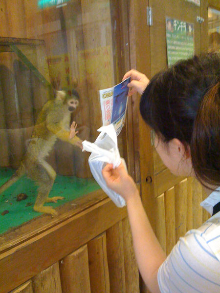 Monkey The monkey really wanted whatever was in Hitomi's bag. It tried so hard to grab it through the glass.