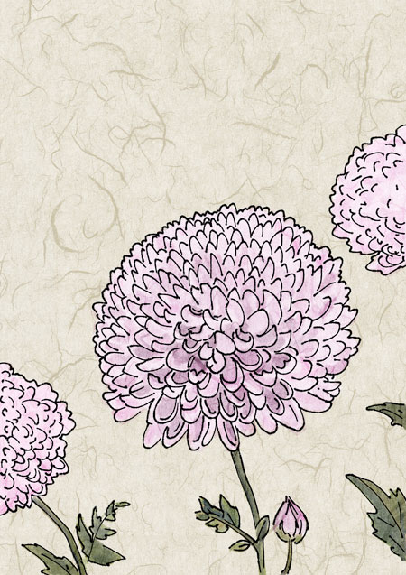 Chrysanthemums Chrysanthemums