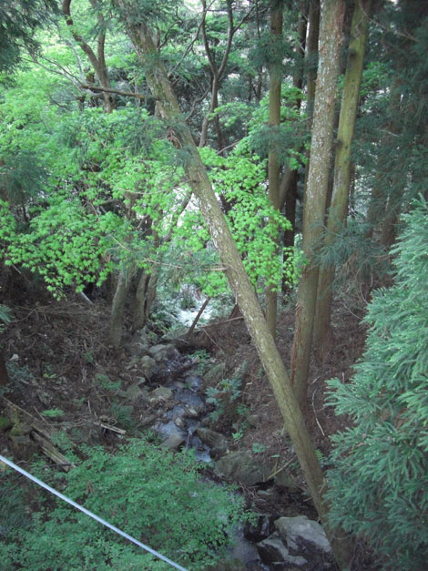 Mountain Stream Mountain Stream