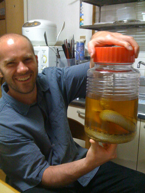 Presenting the habu Presenting the habu