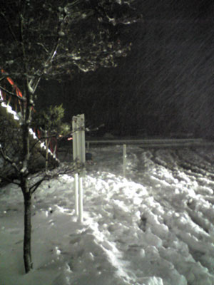 Snowing hard at midnight