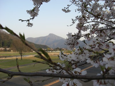 20080408a