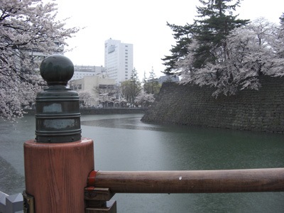 20080408e