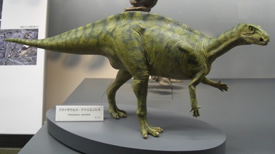 Fukuisaurus