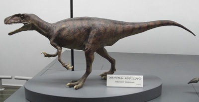 Fukuiraptor
