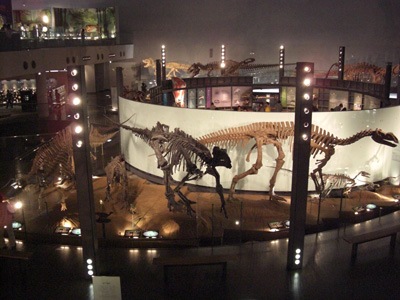 View of the Lower Level