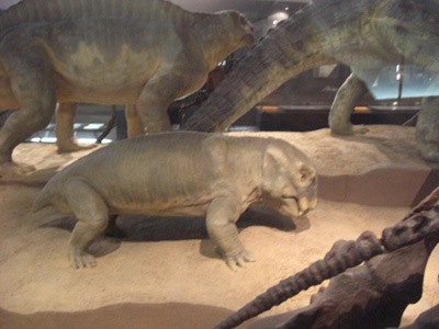 Listrosaurus