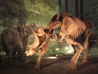 Ulutrtrhtadfhjhasdtherium